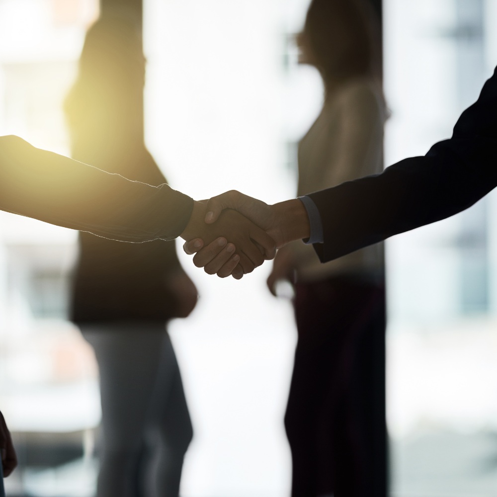 About Waterlily Enterprise